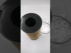 CH10930 Kraftstofffilter mit O-Ring für Motorteile